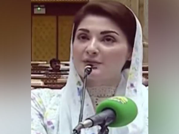 Pakistan: Opposition in Punjab Assembly holds its own session, pledge not to accept Maryam Nawaz as CM