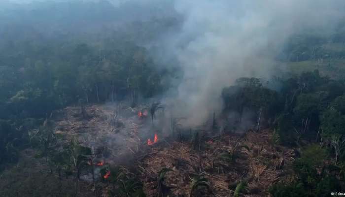 Brazil's Amazon sees worst 6 months of wildfires in 20 years