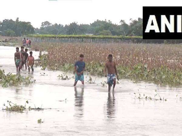 India: Assam flood claims 8 more lives in past 24 hours, death toll reaches to 66