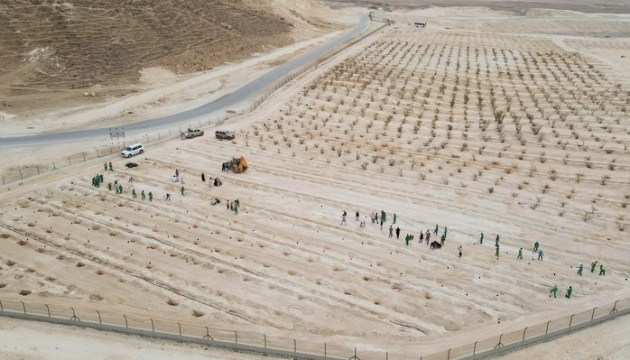 Campaign to plant 10,000 wild trees begins in Dhofar I Times of Oman ...