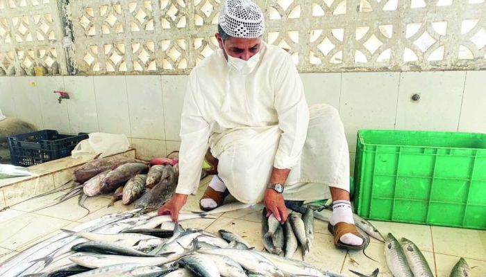 تحديد موعد حظر صيد وتداول أسماك الكنعد في سلطنة عمان