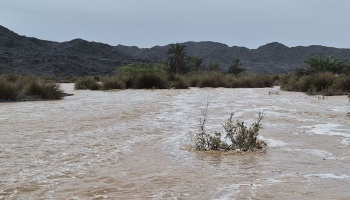 هطول أمطار غزيرة على ولايات جنوب الشرقية