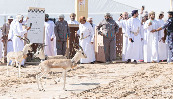 إطلاق مشروع إعادة توطين غزال  'الريم1' بولاية مقشن