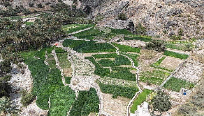 مشروع 'السياحة الزراعية' في قرية بلد سيت .. إعادة إحياء المناطق الريفية في سلطنة عُمان