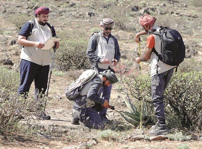 Scientists step up efforts to save Oman’s plant species