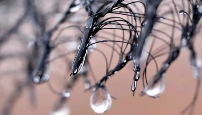 Fog harvesting: How to get water from the clouds