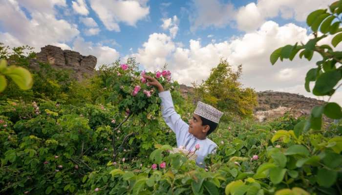 Over 415,000 visit heritage, tourism sites in Al Dakhiliyah