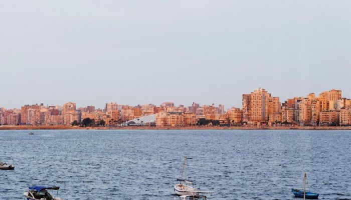 معرض سنوهيتا: "الناس ومكتبة الإسكندرية" يحطّ رحاله في أبوظبي يوم 16 مايو الجاري