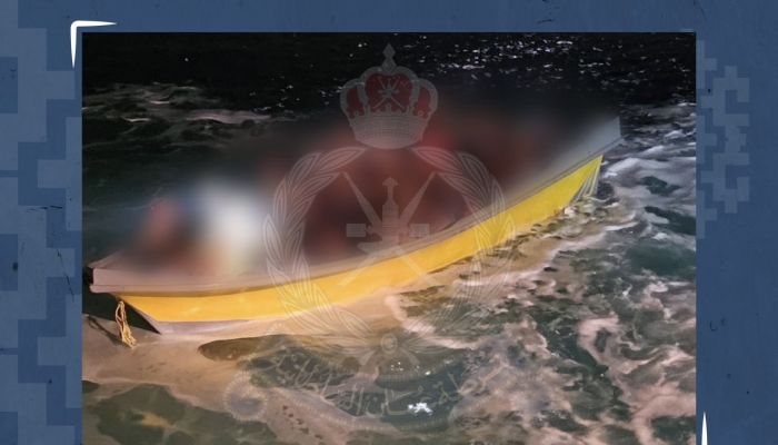 ضبط 29 شخصًا حاولوا دخول البلاد بطريقة غير مشروعة