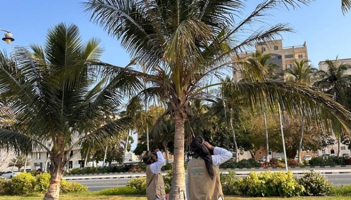 هيئة البيئة تتمكن من القضاء على 161 ألفًا و410 طيور غازية في  ظفار