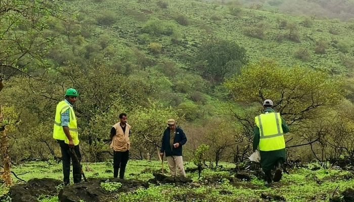 حملة لغرس 4 ملايين بذرة من الأشجار المحلية في جبال ظفار