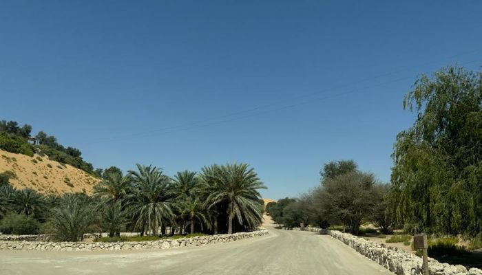 "العين".. واحة للهروب من حر القيظ، وملاذ الباحثين عن الراحة والسكينة والهدوء
