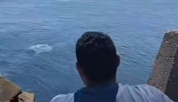مصريون يبتكرون طريقة فريدة من نوعها لإرسال مساعدات غذائية لغزة عبر البحر