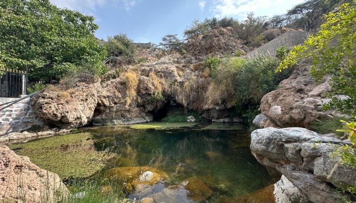 تمازج التضاريس والمناظر الطبيعية لقرية العين بالجبل الأخضر جعلها وجهة لمحبي الطبيعة والمغامرات