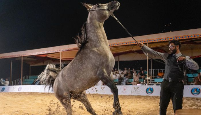 غدًا..  انطلاق فعاليات كأس ظفار الدولي لجمال الخيل العربية