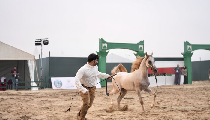 انطلاق بطولة كأس ظفار الدولي لجمال الخيل العربية 2025
