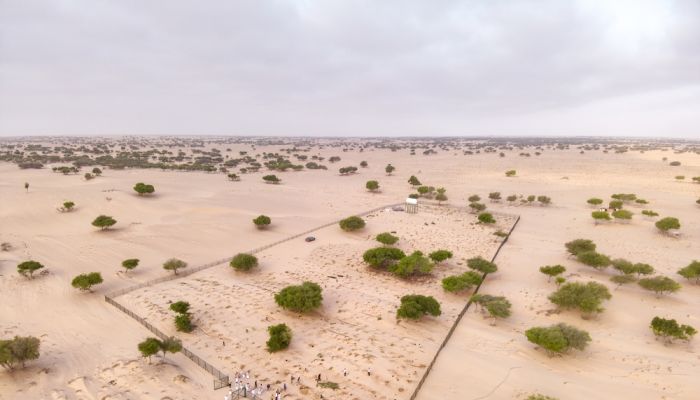 إطلاق حملة استزراع أكثر من 20 ألف متر مربع بجنوب الشرقية