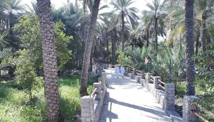 المماشي الصحية والمنتزهات في محافظة جنوب الباطنة.. متنفس حضاري يعزز جودة الحياة