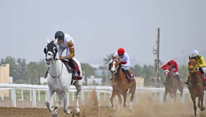 Oman equestrian season nears thrilling finale as title contenders prepare for last two races